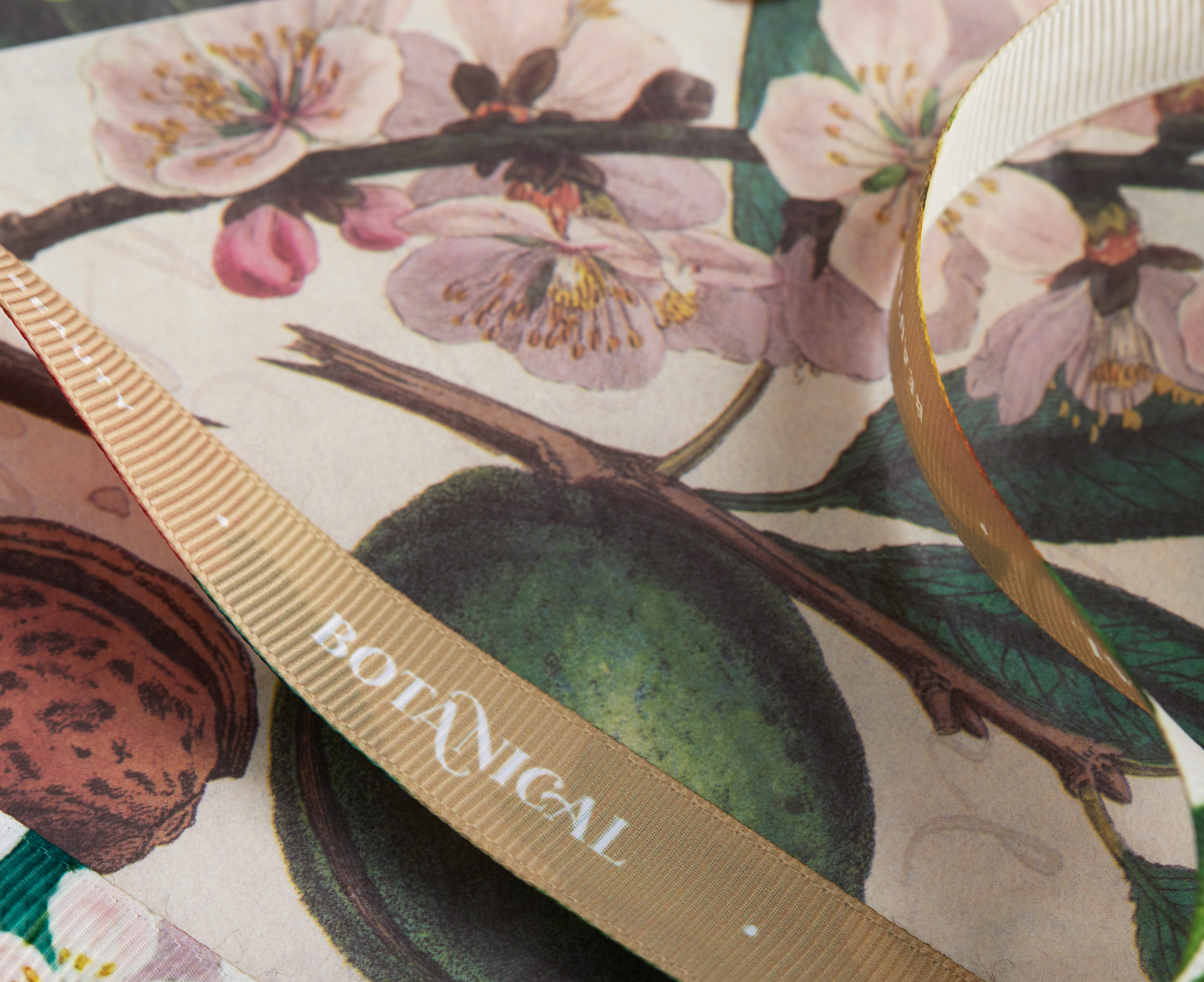Botanical Beauty Brand Development and Packaging Design by TL Design Co.