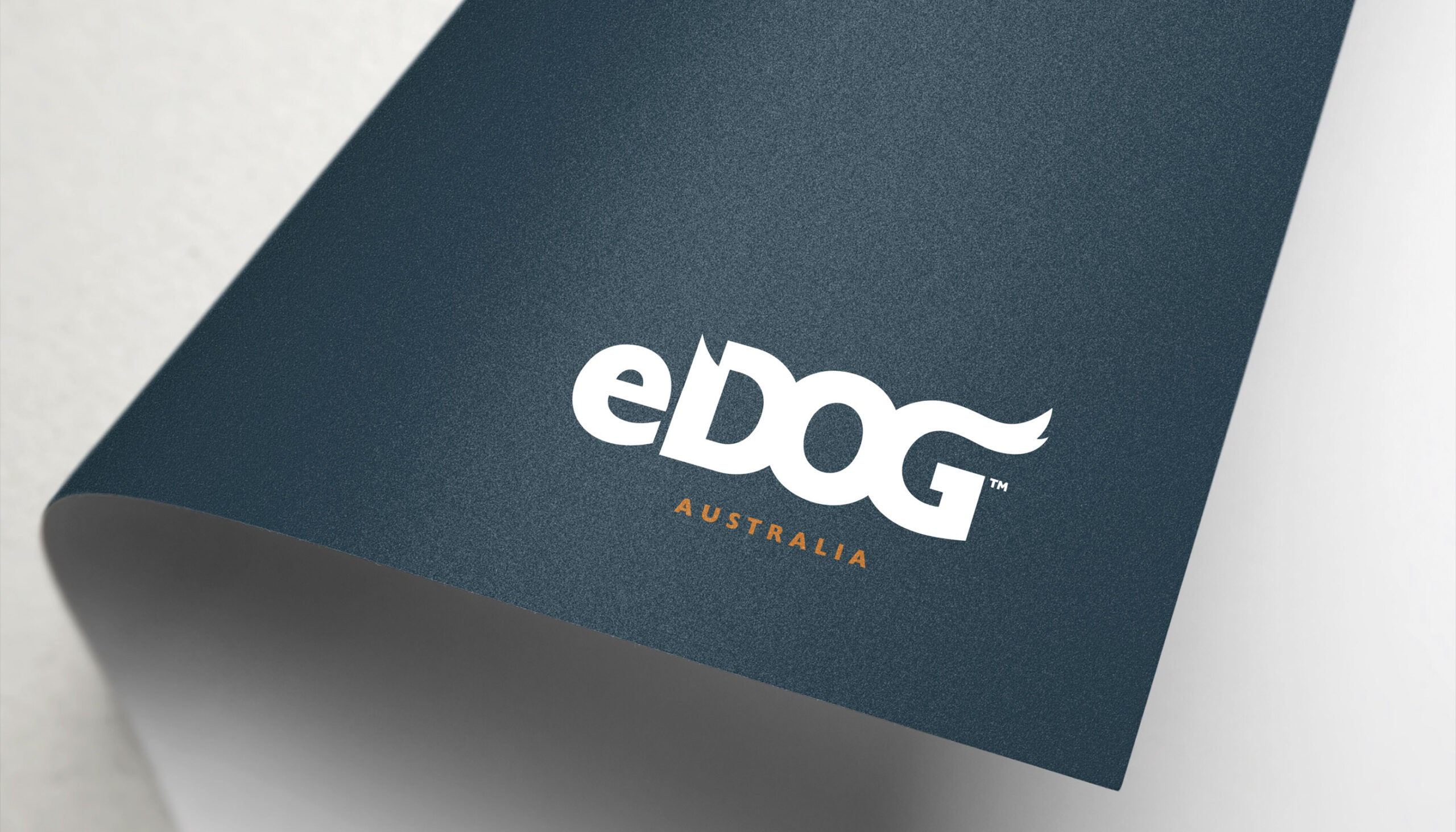 Branding Design for eDog Australia by TL Design Co. Designer Taryn Langlois