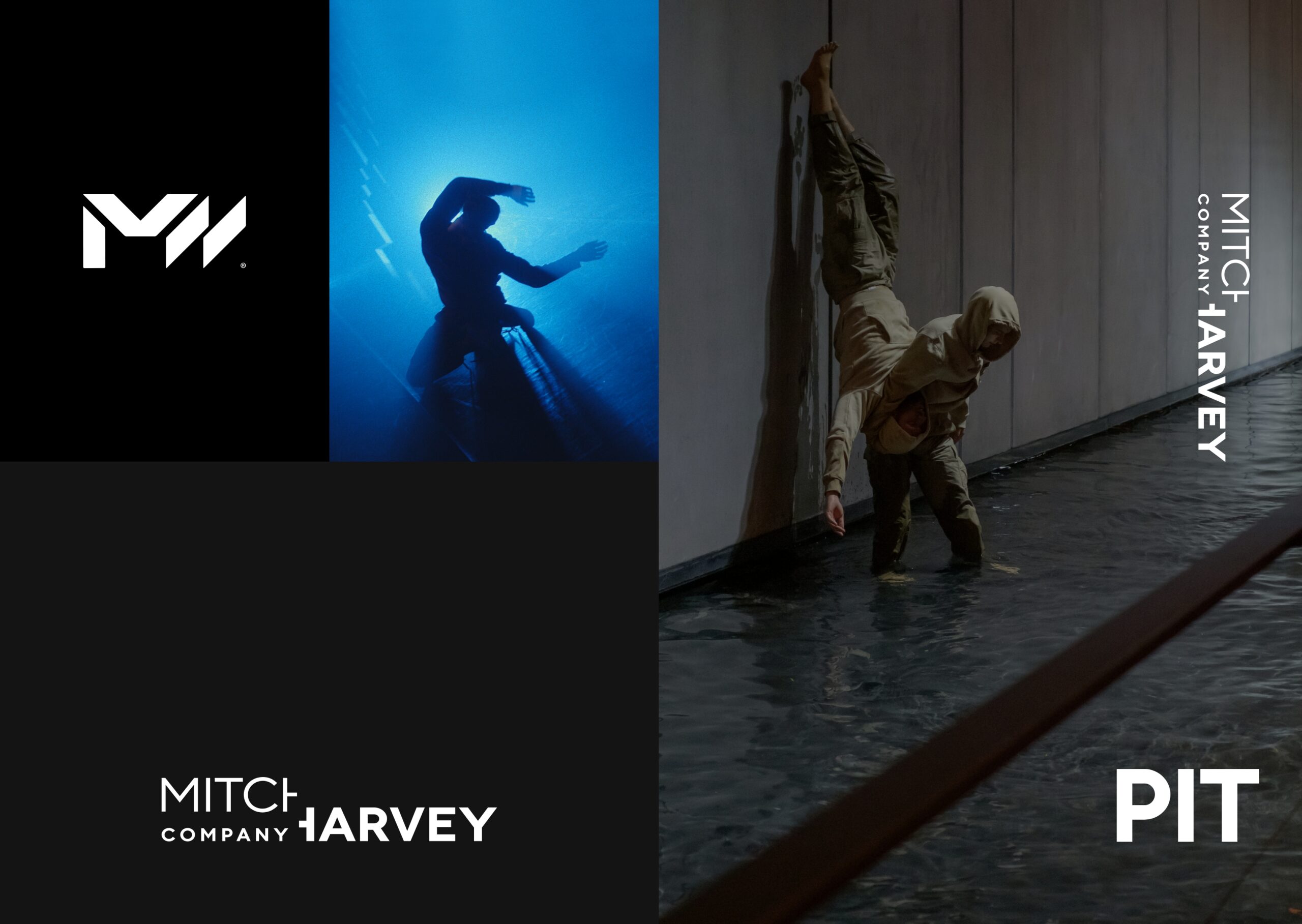Mitch Harvey Contemporary Dance: Branding Design Development by TL Design Co.