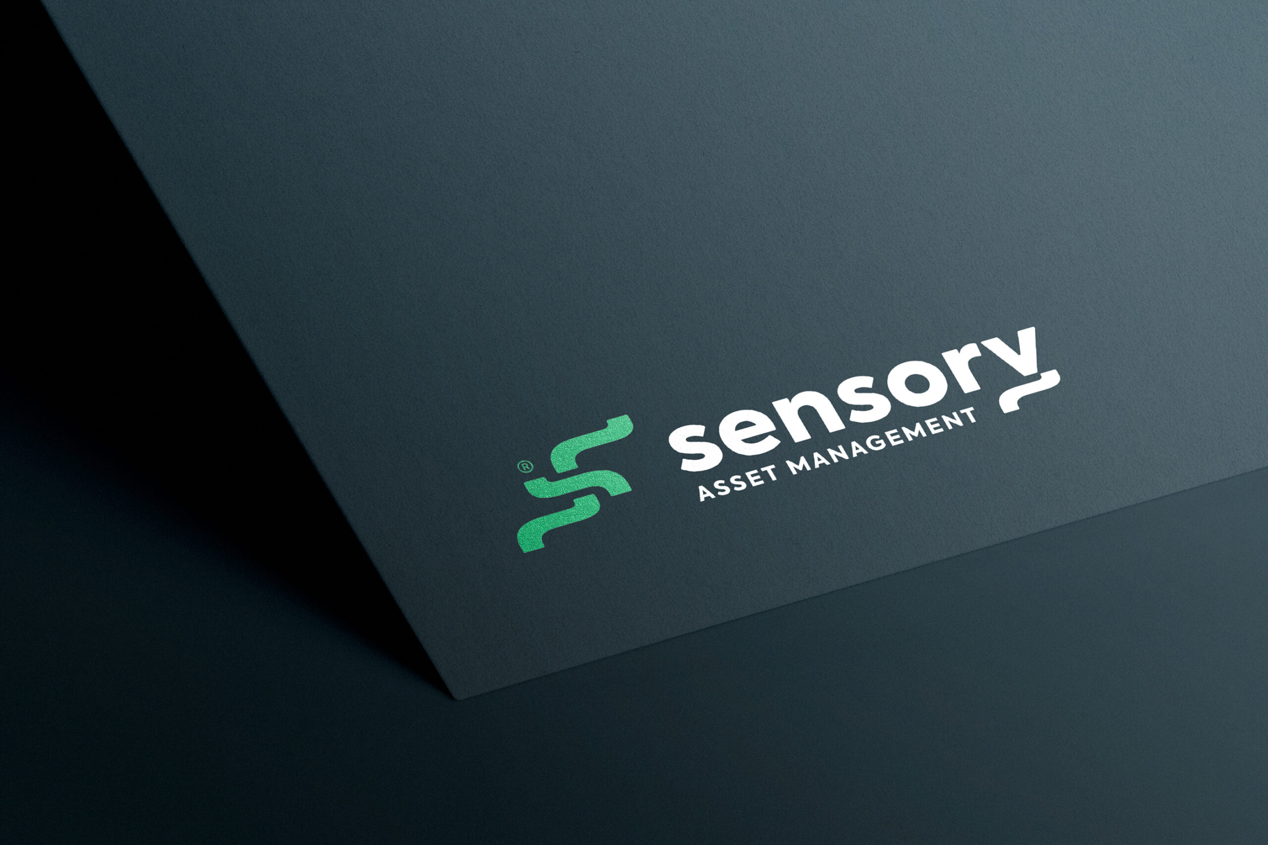 Sensory Asset Management Graphic Design, Merchandise and Branding Design and Development by TL Design Co.